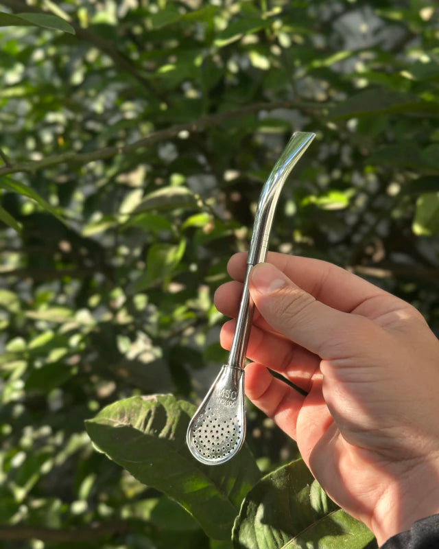 Bombilla pico de loro de acero